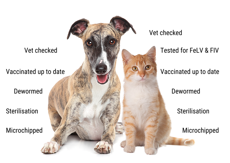 Adopt Fisantekraal Animal Welfare